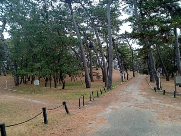 稲毛公園まで約1140m