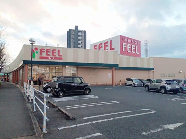 フィール岡崎柱町店まで約800m