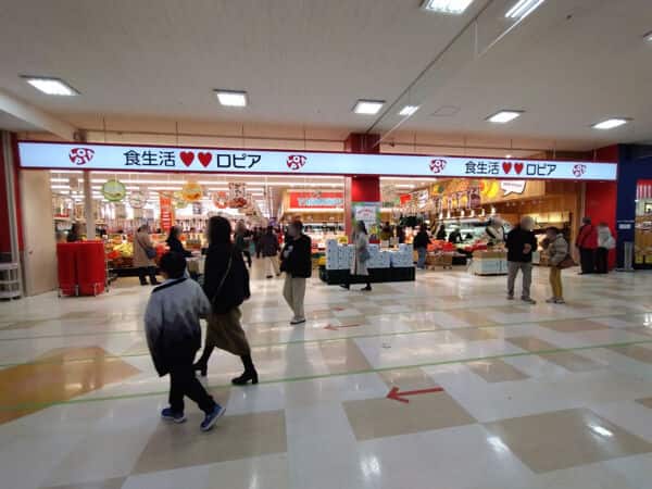 ロピア岡崎エルエルタウン店まで約495m