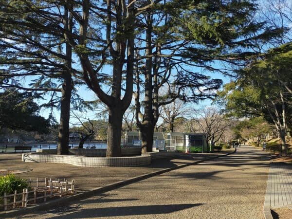 千葉公園まで約209m