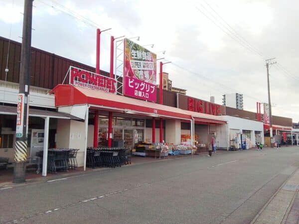 ビッグリブ 安城店まで約1018m