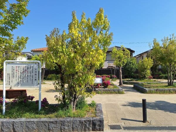 大池西公園まで約830m