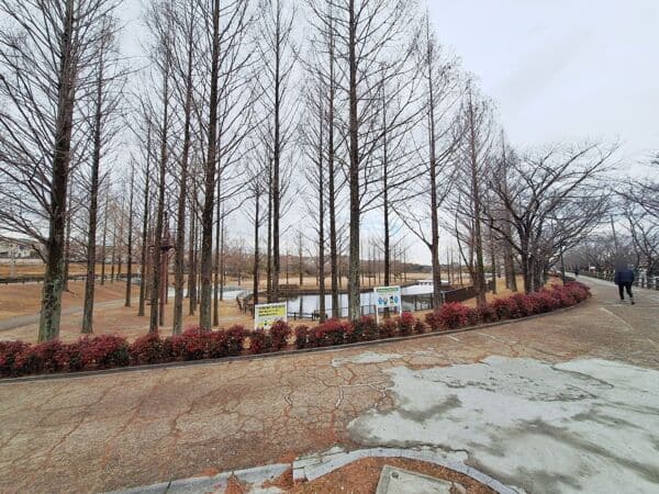 打上川治水緑地まで約754m
