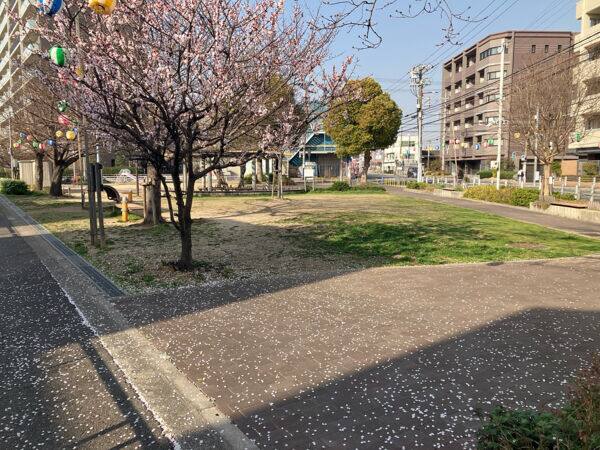 姫島浜公園まで約1052m