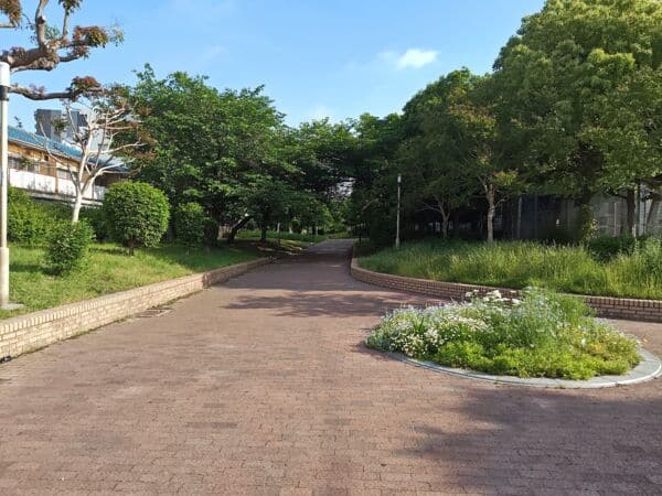 新駅８号公園まで約969m