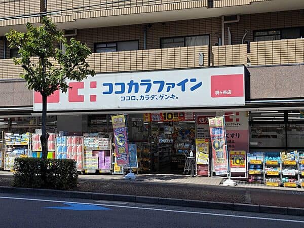 ココカラファイン梶ヶ谷店まで約738m