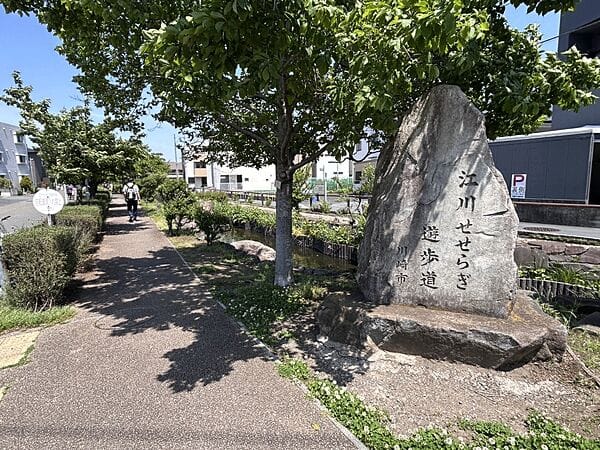 江川せせらぎ遊歩道まで約241m