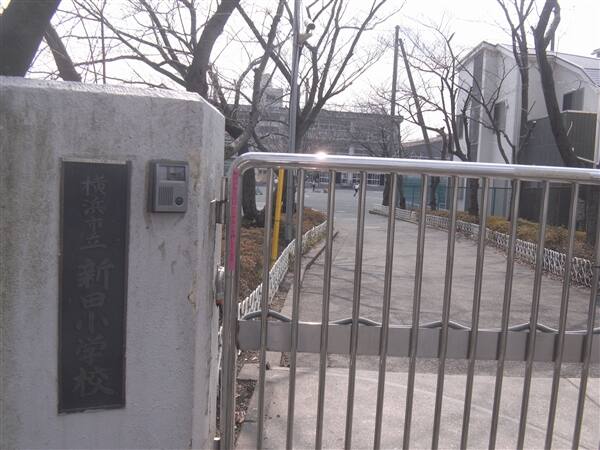 横浜市立新田小学校