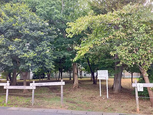 若松みんなの森まで約1180m