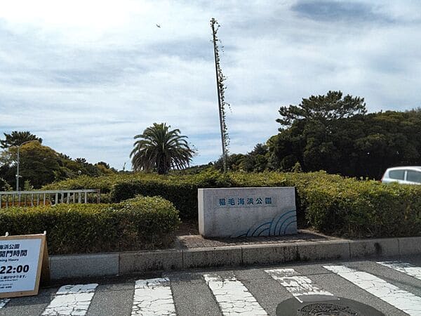 稲毛海浜公園まで約339m