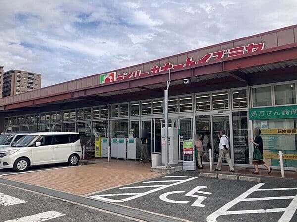 デイリーカナートイズミヤ 御影店まで約792m