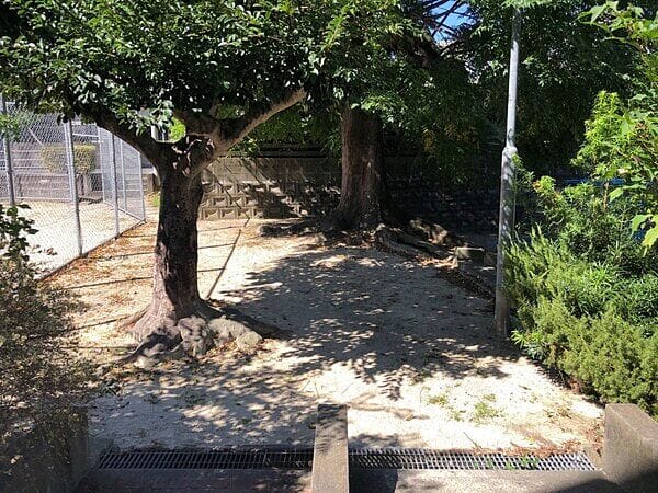 紅葉ヶ丘第1公園まで約558m
