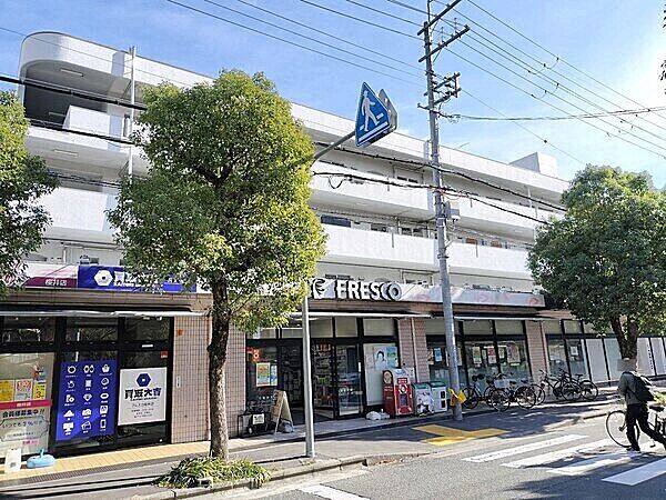 フレスコ桜井店まで約1047m