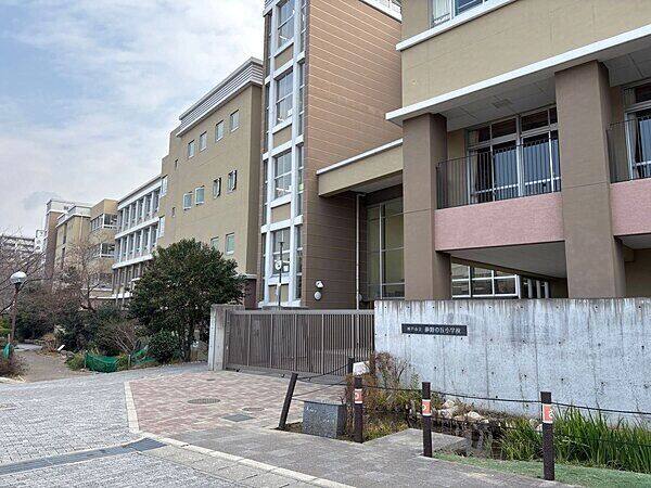 神戸市立夢野の丘小学校