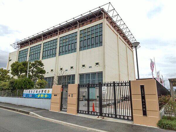 八尾市立桂小学校