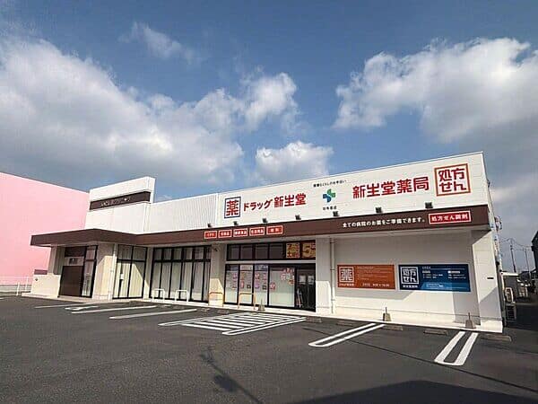 ドラッグ新生堂 加布里店まで約995m