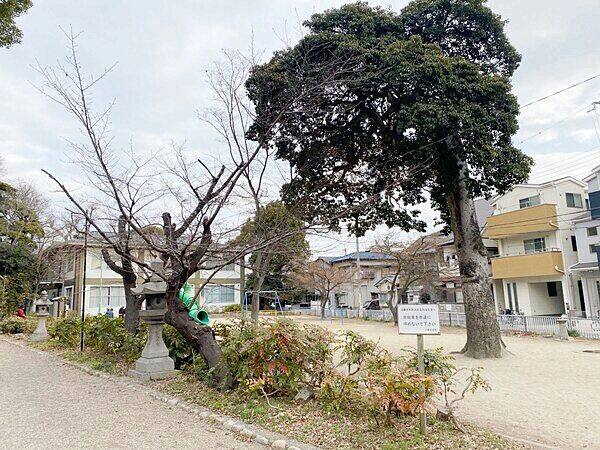 早苗の森公園まで約727m