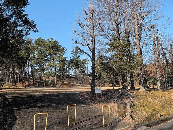 青山公園まで約1294m