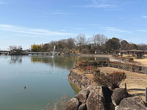 城山公園まで約249m