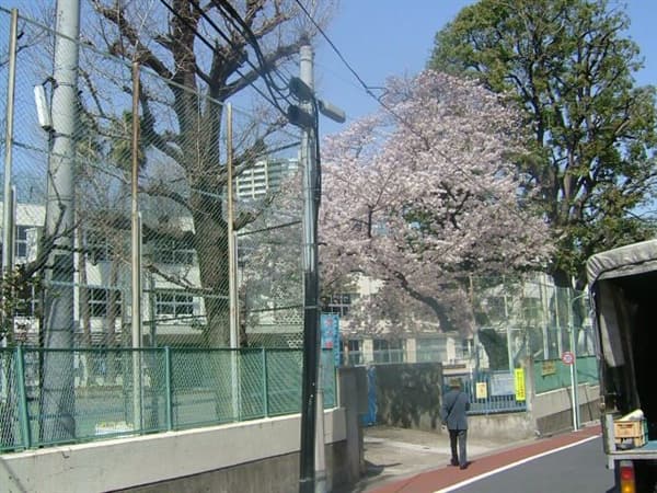 品川区立芳水小学校