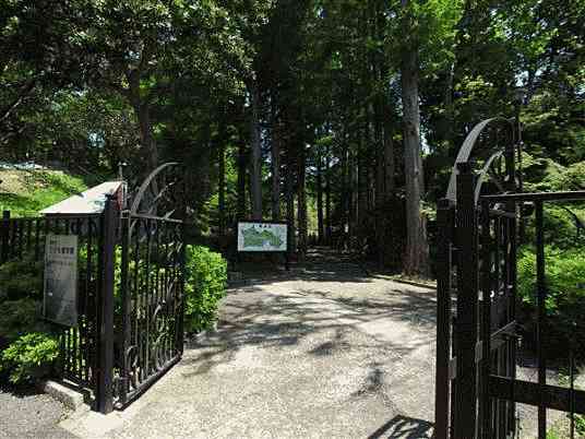 横浜市こども植物園まで約1057m