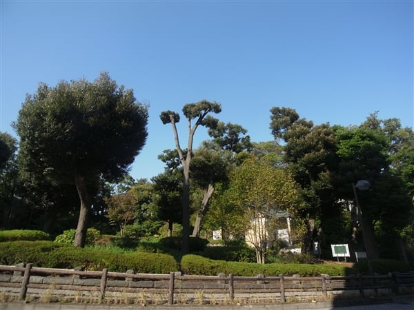 野毛山動物園まで約587m