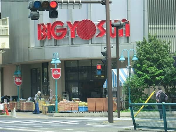 ビッグヨーサン東神奈川店まで約1008m
