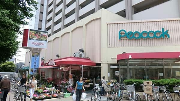 大丸ピーコック目白店まで約1280m