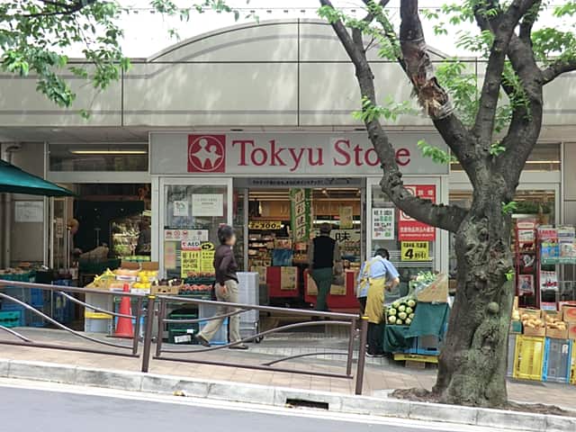 東急ストア宮崎台店まで約1166m
