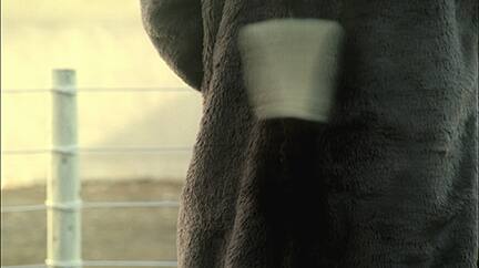 ストーリーボード5