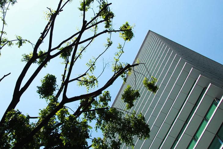 渋谷駅、埼京線と山手線の並列化は2020年春を目標に