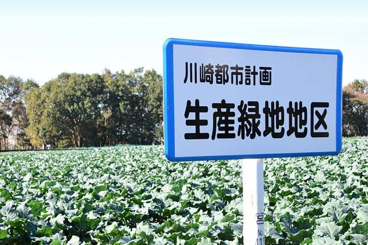 生産緑地問題とは？土地の価格に与える影響と今後の対策