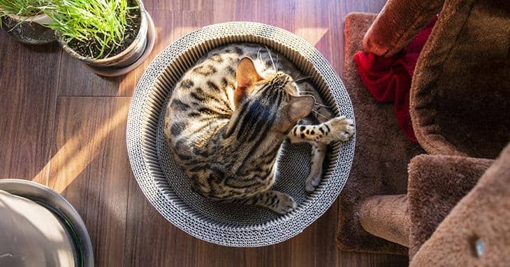 戸建てのメリット