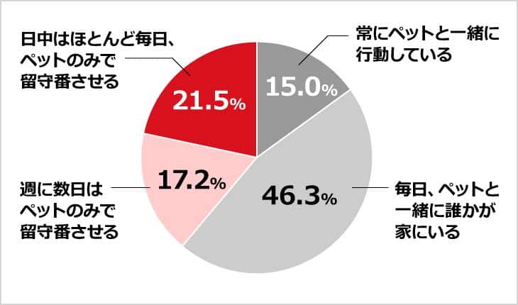 ペットのお留守番事情