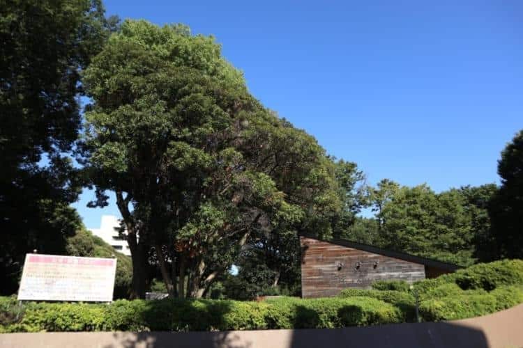 駒沢オリンピック公園