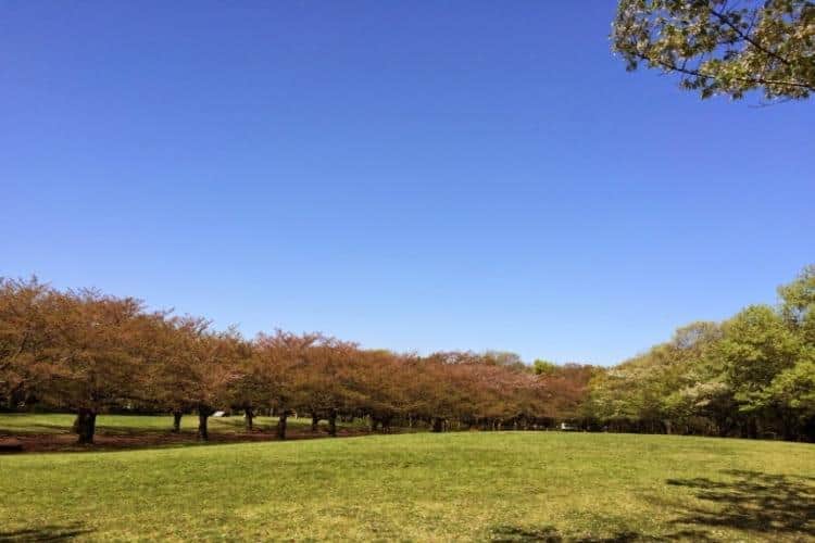 大井ふ頭中央海浜公園
