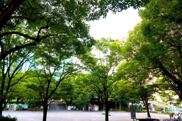 新宿中央公園