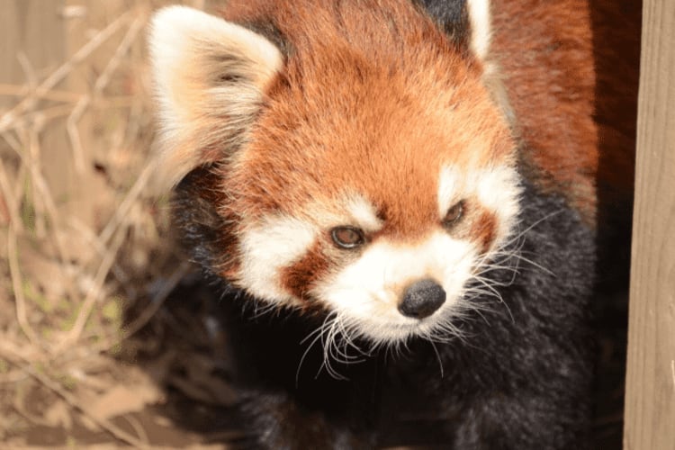 市川市動植物園