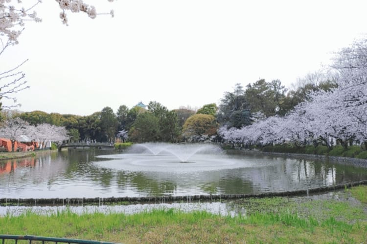 名城公園
