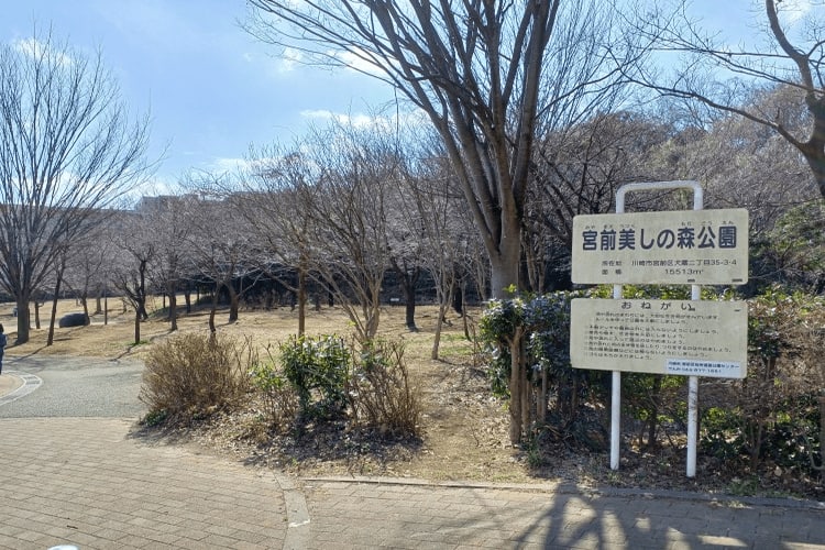 宮前美しの森公園