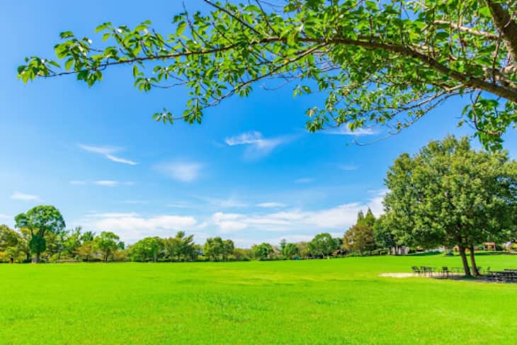 戸田市の住みやすさは？治安や子育て世帯から見た魅力を紹介！