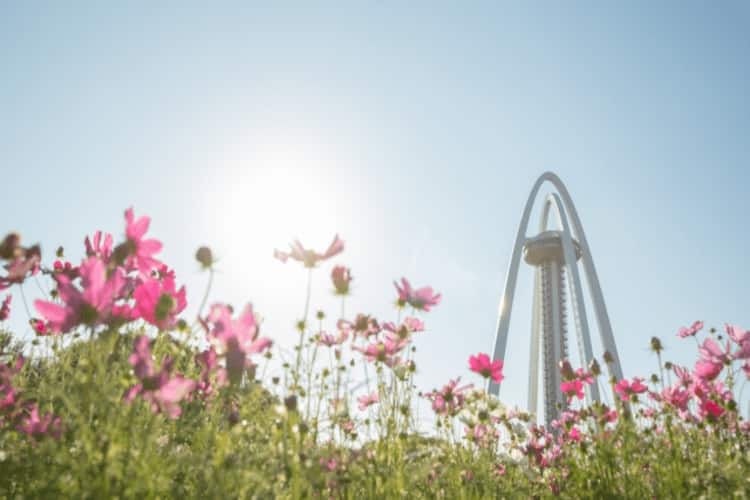 国営木曽三川公園