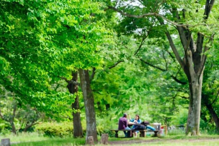 こども自然公園