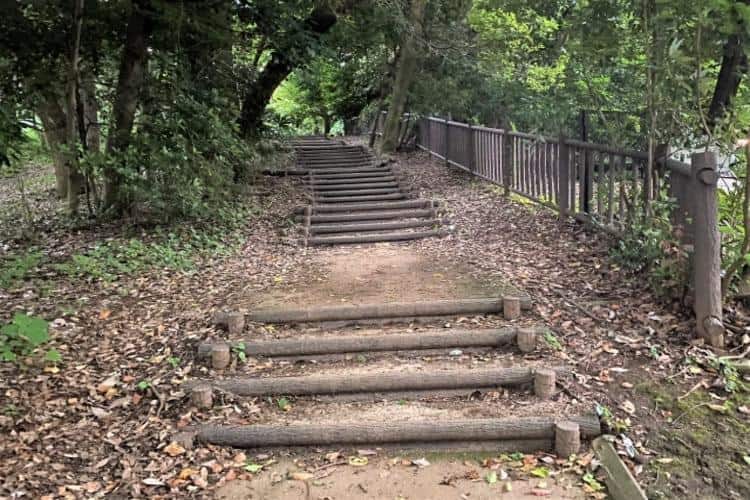 江古田の森公園