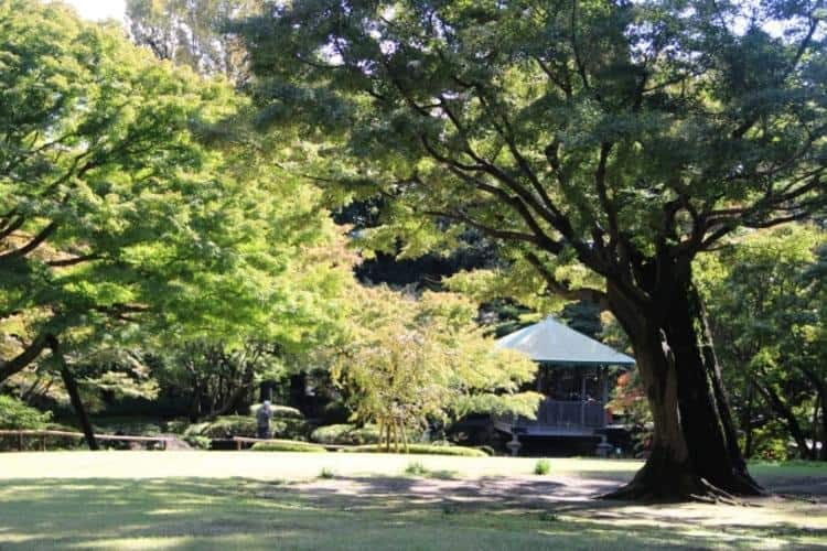 杉並区立大田黒公園