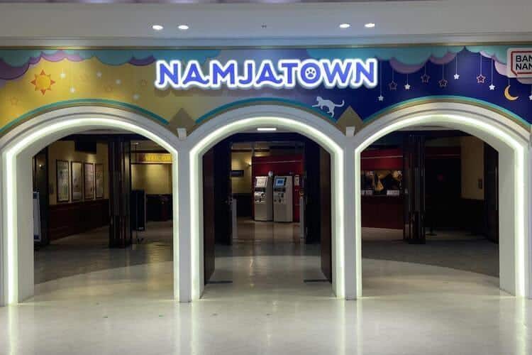 ナンジャタウン