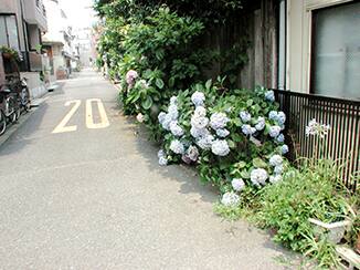 Vol.05 東京都新宿区 N様