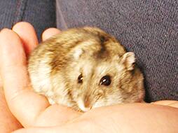 Vol.06 東京都目黒区 H様