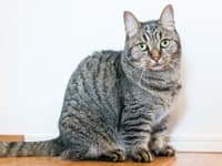 Vol.40 東京都世田谷区 I様