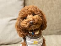 Vol.45 東京都江東区 E様